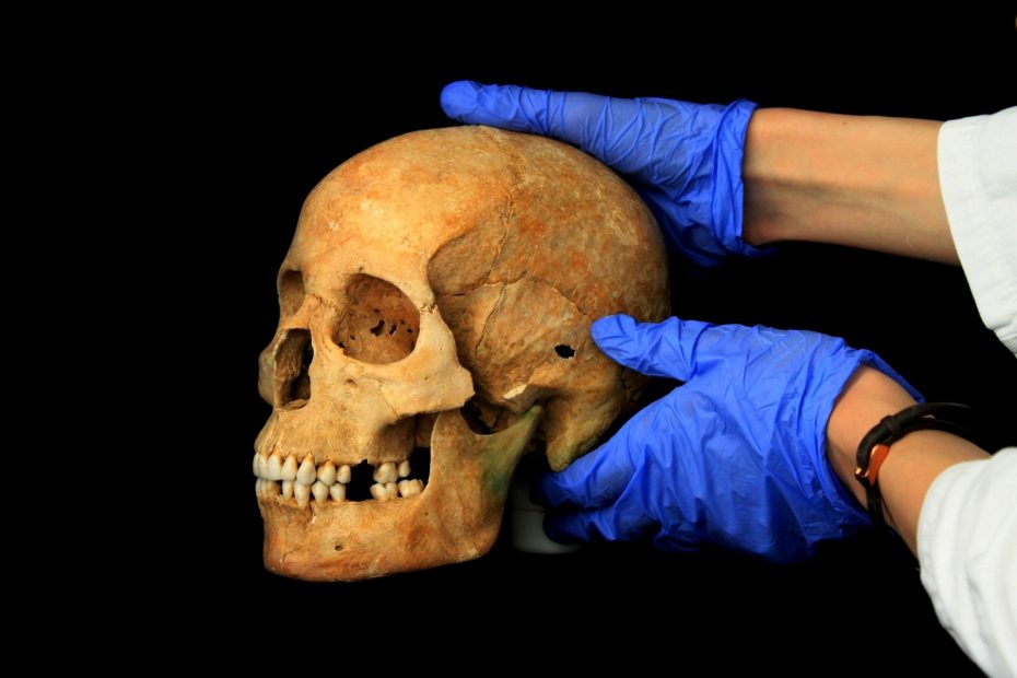 Forensic Workshops